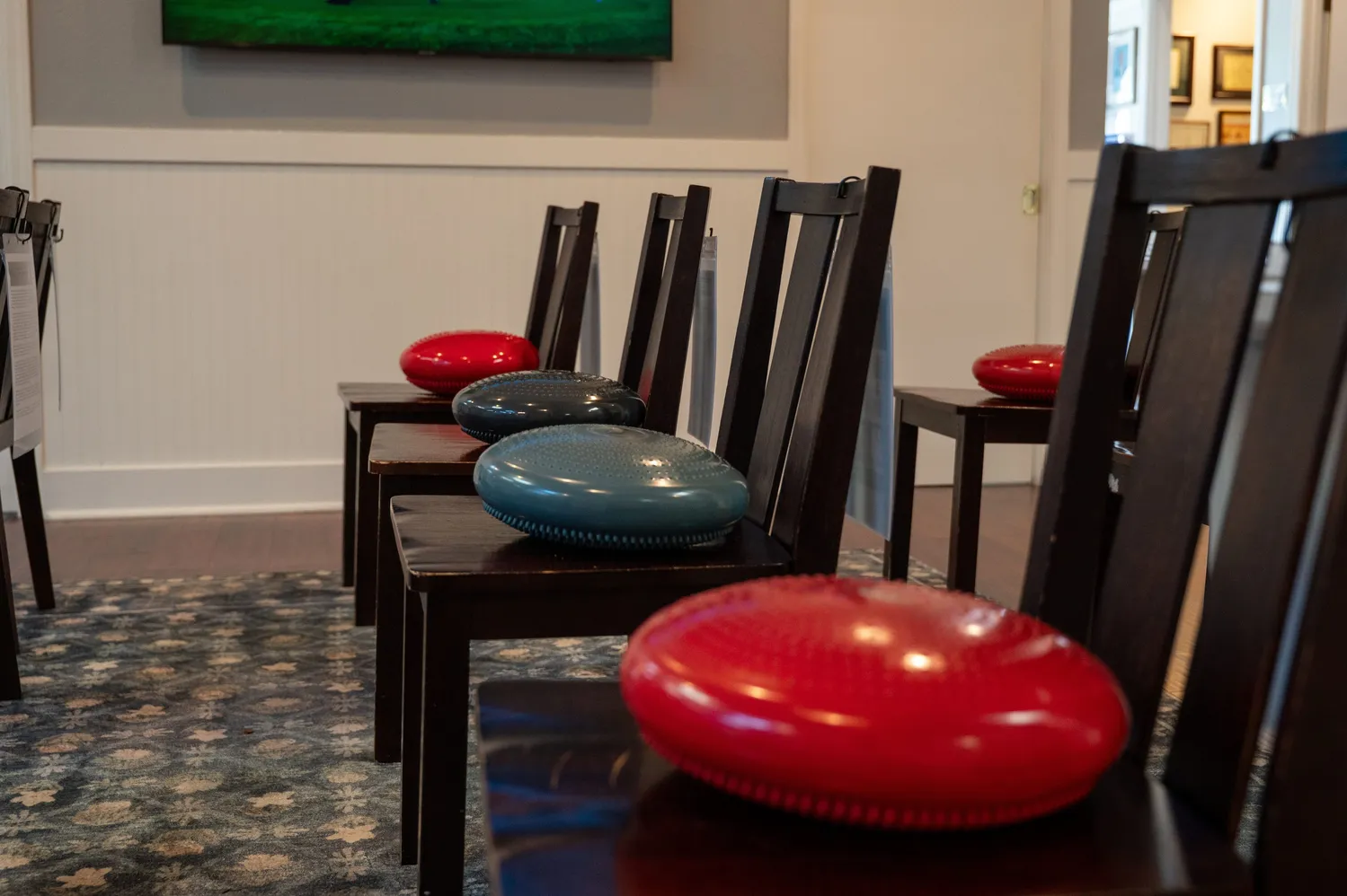 Wobble Cushion